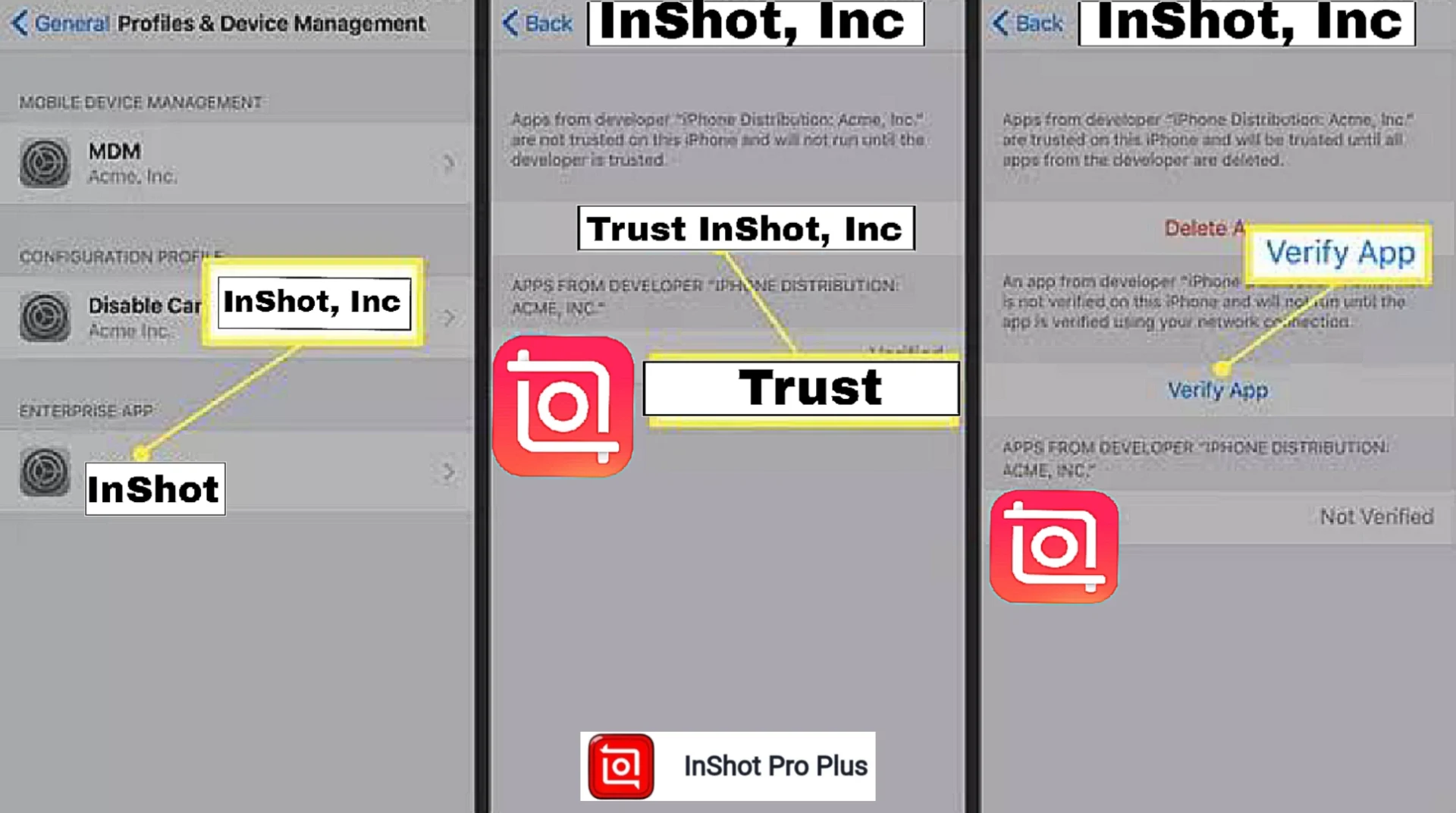 How do I verify app developer on iPhone?
